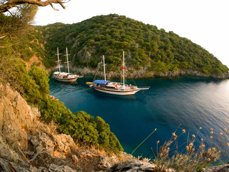 Book yachts online - other - Gulet - Alaturka 1 - Alaturka 1 - rent