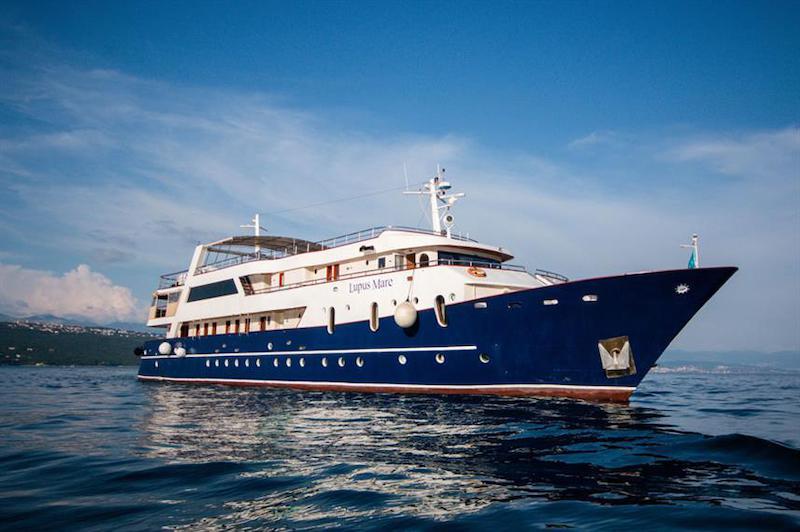 Book yachts online - motorboat - Motoryacht Lupus Mare - Lupus Mare - rent