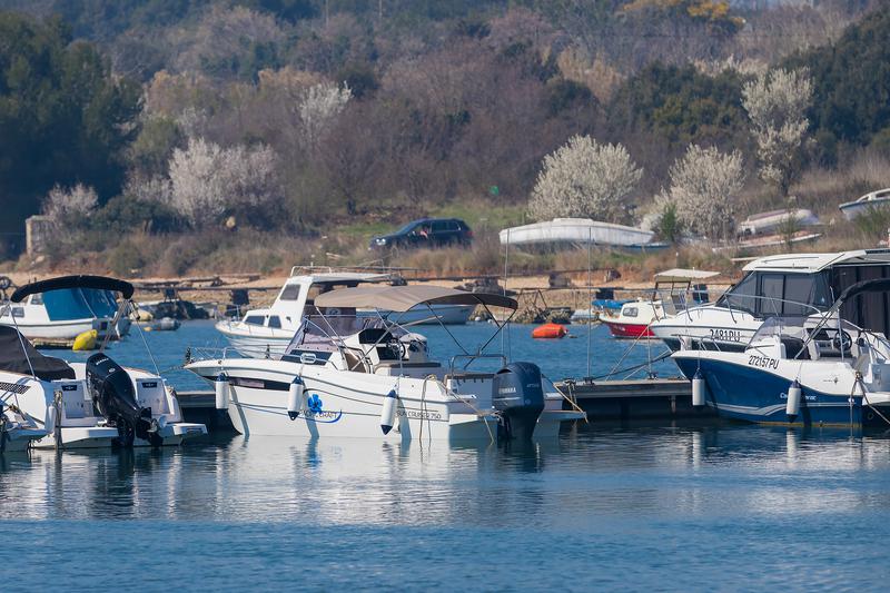 Book yachts online - motorboat - Pacific Craft 750 Sun Cruiser - no name - rent
