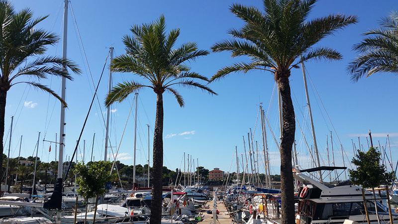 Book yachts online - sailboat - Bavaria Cruiser 50 - Quantum - rent
