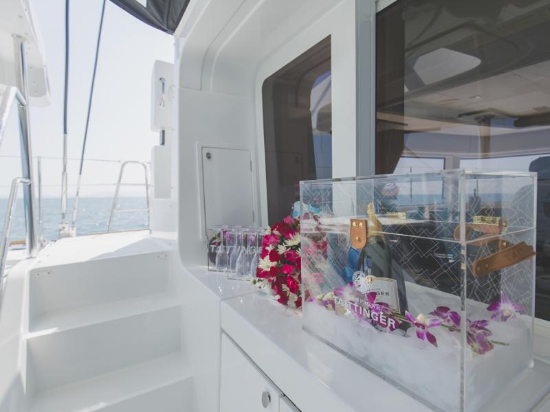 Book yachts online - catamaran - Lagoon 52F - Blue Moon - rent