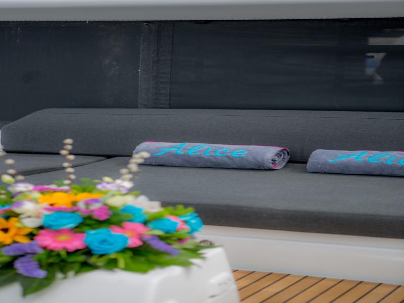 Book yachts online - catamaran - Lagoon 46 - ALICE - rent