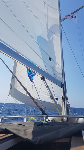 Book yachts online - sailboat - Elan 384 Impression - NAIADA  - rent