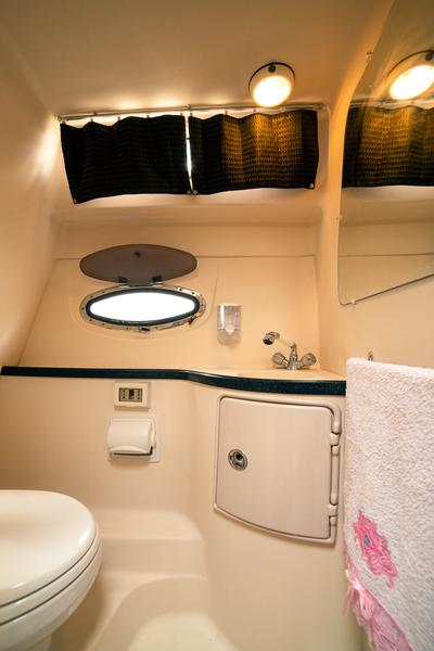 Book yachts online - motorboat - Regal - Sea Cruises - rent