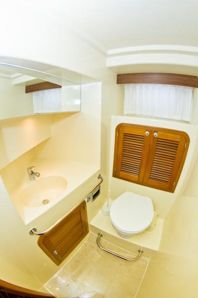 Book yachts online - motorboat - Adagio Europa 51.5 - Anna Sophie  - rent