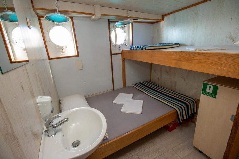 Book yachts online - motorboat - Motoryacht - Amadeus - rent