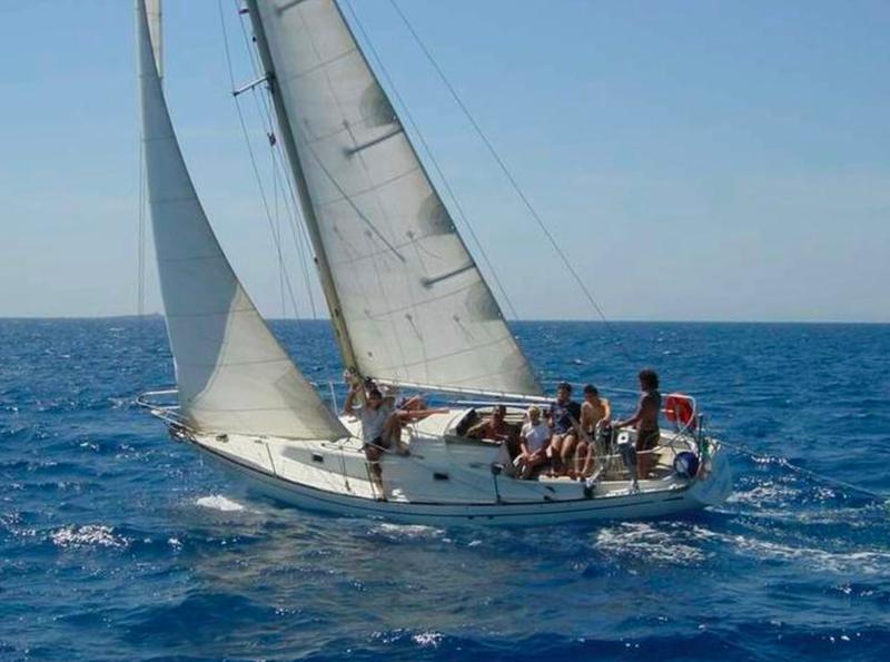 Book yachts online - sailboat - Alpa 950 - Mini Swan - rent