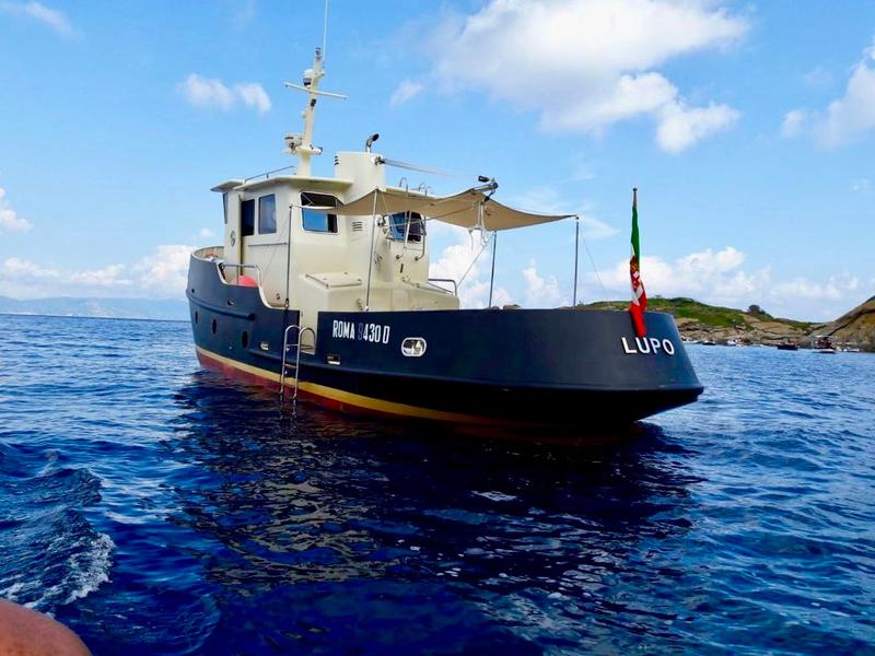 Book yachts online - motorboat - Motorboat - Lupo - rent