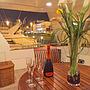 Book yachts online - motorboat - Falcon 76 - Lady Bibi - rent