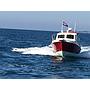 Book yachts online - motorboat - Damor 700 - Ema - rent