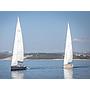 Book yachts online - sailboat - Hanse 630 - Zara - rent