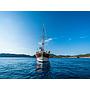 Book yachts online - other - Gulet- Alaturka 81 - Alaturka 81 - rent