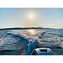 Book yachts online - motorboat - Jeanneau Merry Fisher 795 - ARYA - rent