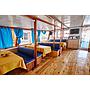 Book yachts online - motorboat - Motoryacht Naval - Naval - rent