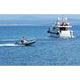 Book yachts online - motorboat - Azimut 76 - Golden Eagle - rent