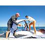 Book yachts online - catamaran - Excess 11 - SOGUKSU - rent