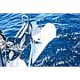 Book yachts online - sailboat - Sun Odyssey 410 - Marianna - rent