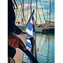 Book yachts online - sailboat - Sun Odyssey 410 - Marianna - rent