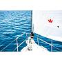 Book yachts online - sailboat - Sun Odyssey 490 - Porto Fino - rent