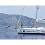 Book yachts online - sailboat - Beneteau 50 - Viktoria II - rent