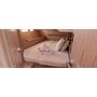 Book yachts online - sailboat - Oceanis 41.1 - AGINOR - rent