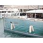 Book yachts online - catamaran - Lagoon 400 S2 LTD EDITION - SCIROCCO - rent