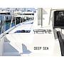 Book yachts online - catamaran - Lagoon 46 - DEEPSEA - rent