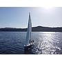 Book yachts online - sailboat - Oceanis 51.1 - Lupo Di Mare - rent