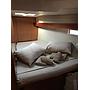 Book yachts online - sailboat - Bavaria Cruiser 45 - Destiny - rent