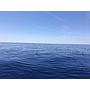 Book yachts online - sailboat - Dufour 56 Exclusive - INVICTUS - rent