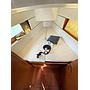 Book yachts online - sailboat - Oceanis 35.1 - Caroline - rent