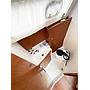 Book yachts online - sailboat - Oceanis 35.1 - Caroline - rent