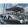 Book yachts online - sailboat - Sun Odyssey 49 - ANAX - rent