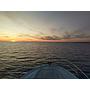 Book yachts online - motorboat - Antares 36 Fly - Setemana - rent