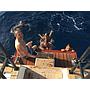 Book yachts online - sailboat - Vismara V71 - Red Carpet - rent