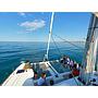 Book yachts online - catamaran - Lagoon 450  Flybridge - Zia Nella - rent