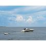 Book yachts online - motorboat - Azimut 55 - Atlantis - rent