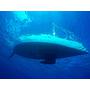 Book yachts online - sailboat - Sun Odyssey 439 - Esquitx - rent