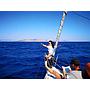Book yachts online - sailboat - Elan 384 Impression - NAIADA  - rent