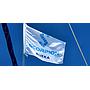 Book yachts online - sailboat - Bavaria 44 - Scorpion - rent