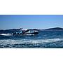 Book yachts online - motorboat - Axopar 37 T Top - Axopar 37 TT - rent
