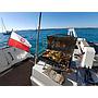 Book yachts online - catamaran - Saba 50 (8 CAB) - Lamela - rent