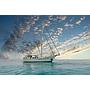 Book yachts online - other - Gulet - Lagaro - rent