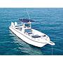 Book yachts online - motorboat - Mako 282 - Fisherman - rent