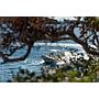 Book yachts online - motorboat - BSC 85 - no name - rent