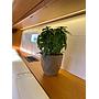 Book yachts online - sailboat - Jeanneau 54 - AEGEAN STAR - rent