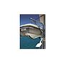 Book yachts online - catamaran - Lagoon 42 - Niki - rent