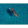 Book yachts online - motorboat - North Star 12 - Imperius - rent