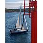 Book yachts online - sailboat - Elan 340 - Miri - rent