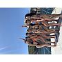 Book yachts online - motorboat - Princess 45 - Summer Love - rent